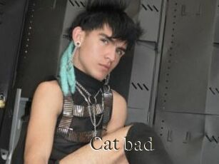 Cat_bad