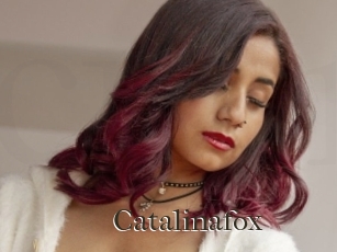 Catalinafox