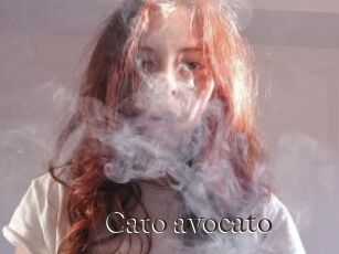Cato_avocato