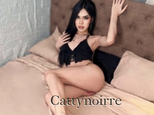 Cattynoirre