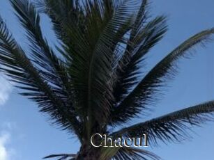 Chacul