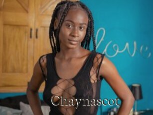 Chaynascot