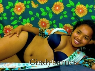 Cindybarnes