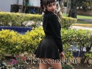 Cleirecamelon