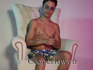 Cooperlewyn