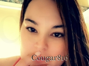 Cougar816