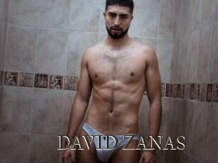 DAVID_ZANAS