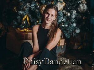 DaisyDandelion