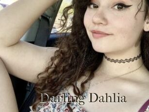 Darling_Dahlia