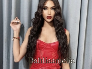 Dahliaamelia