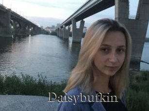 Daisybufkin