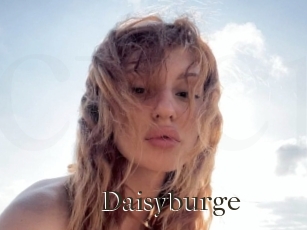 Daisyburge