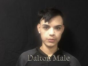 Dalton_Male