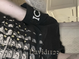 David1123