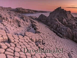 Davidhmodel