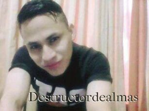 Destructordealmas