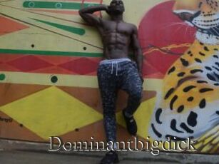 Dominantbigdick
