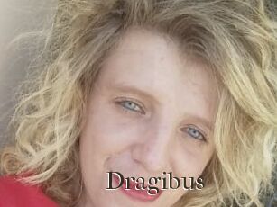 Dragibus