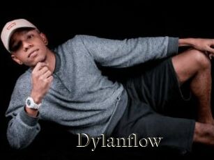 Dylanflow