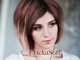 ErickaSoft