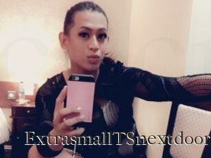 ExtrasmallTSnextdoor