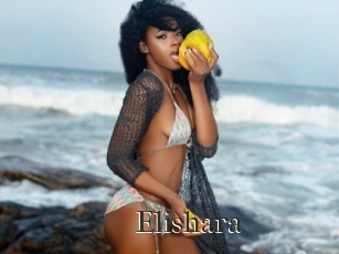 Elishara