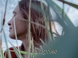 Elvagrise