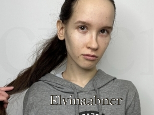 Elvinaabner
