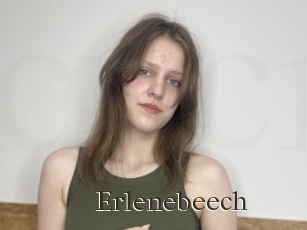 Erlenebeech