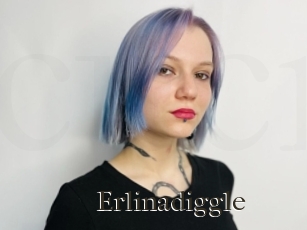Erlinadiggle