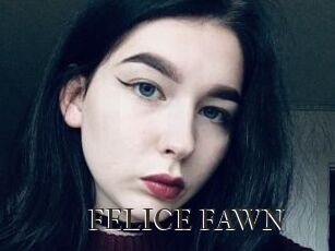 FELICE_FAWN