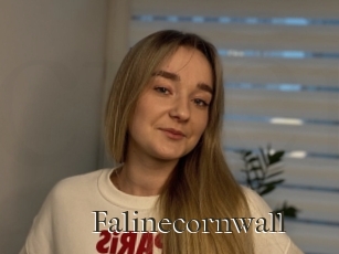 Falinecornwall