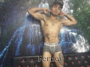 Ferney