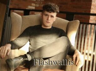 Flashwallis