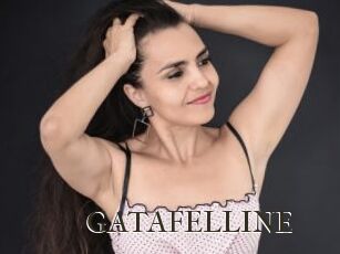 GATAFELLINE