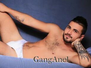 GangAnel
