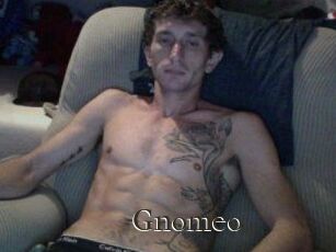 Gnomeo