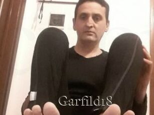 Garfild18