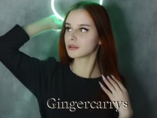 Gingercarrys