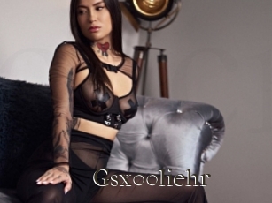 Gsx00liehr