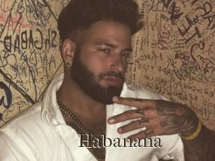 Habanana