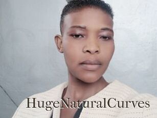 HugeNaturalCurves