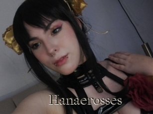 Hanaerosses