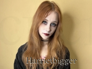 Harrietbigger