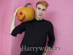 Harrywalters