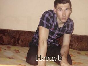 Hornyb