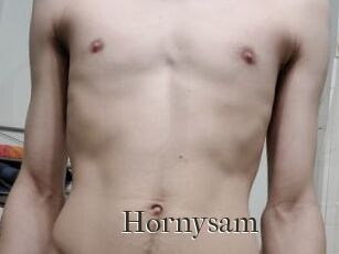Hornysam