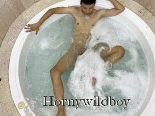 Hornywildboy