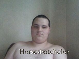 Horsesbatchelor