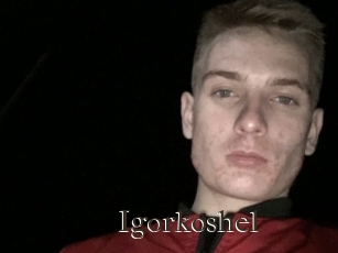 Igorkoshel